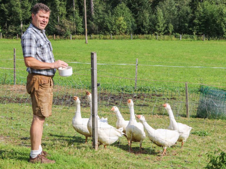 Gastgeber Georg mit den Gänsen