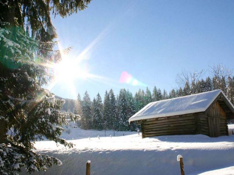 Hütte im Winter im Lammertal im Land Salzburg