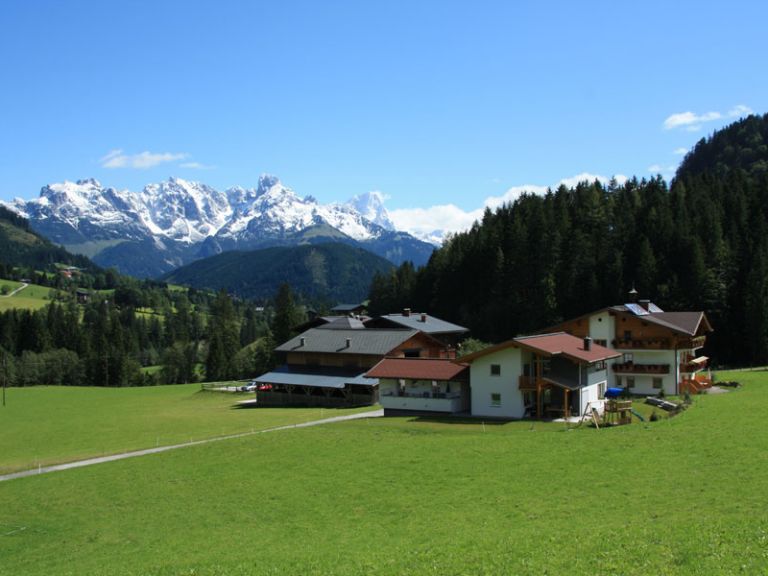Blick auf den Gosaukamm und das Berghotel Lämmerhof