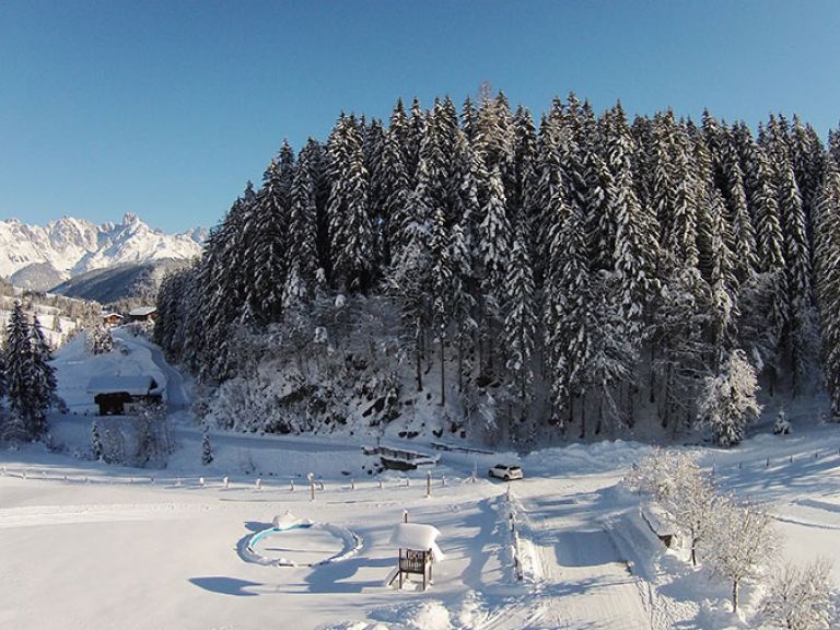 View from Hotel Lämmerhof on the woods and the Gosaukamm mountains