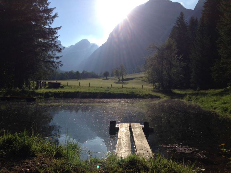 Fishing pond in the Lammertal in Salzburger Land