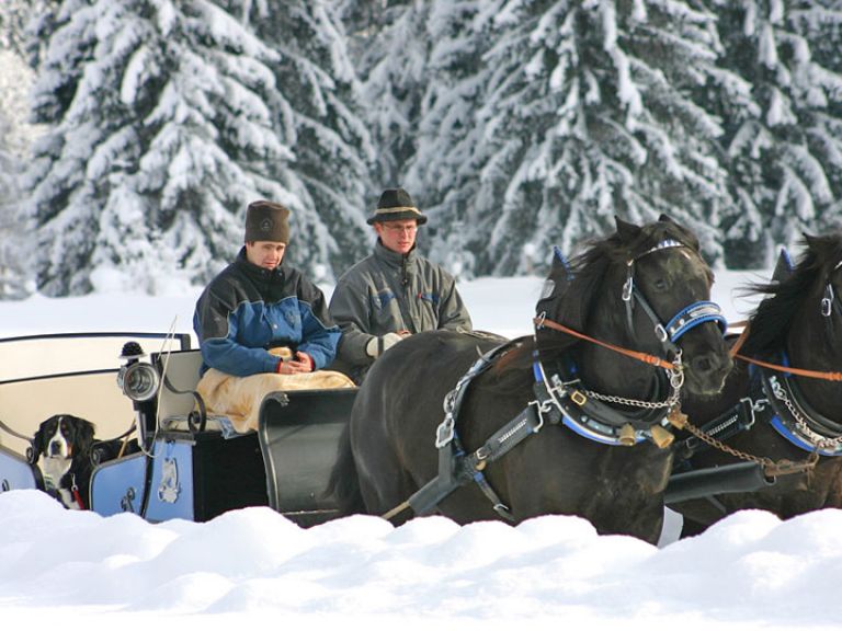 Mit dem Pferdeschlitten durch das Lammertal im SalzburgerLand Pferdeschlittenfahrt mit den Norikern des Berghotel Lämmerhof