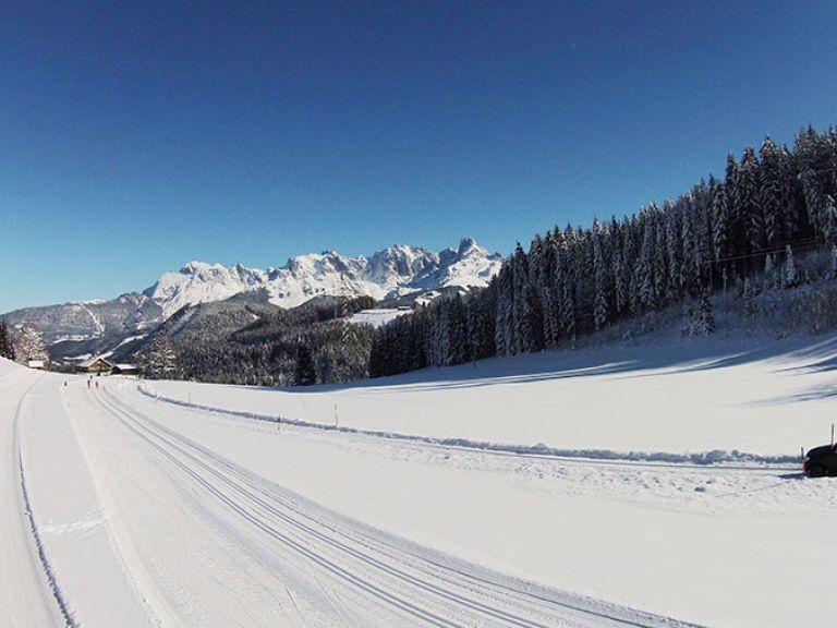 Winterwandern mit Blick auf den Gosaukamm