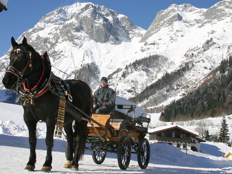 Mit dem Pferdeschlitten durch das Salzburger Land Noriker mit Pferdeschlitten im Lammertal