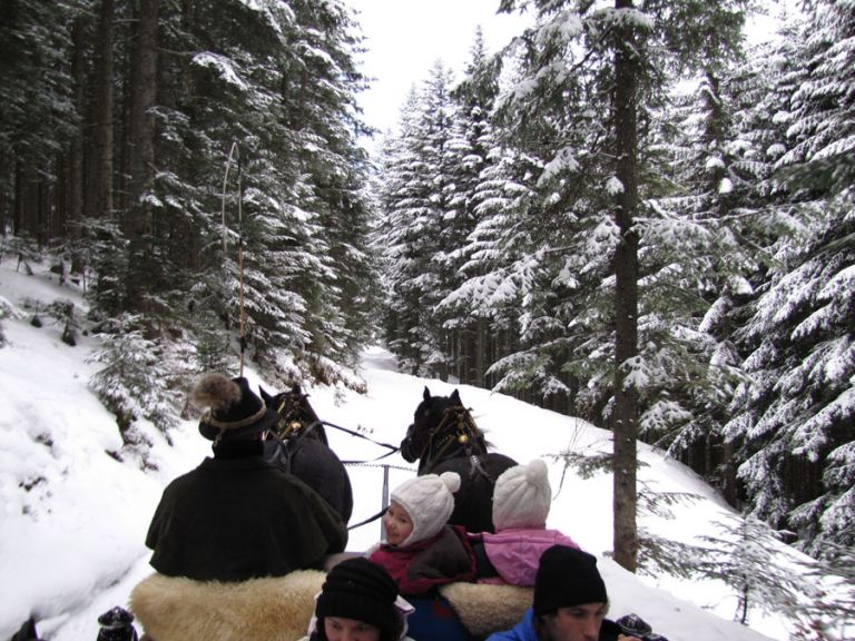 Mit dem Pferdeschlitten durch das Lammertal Pferdekutschanfahrt im Salzburger Land