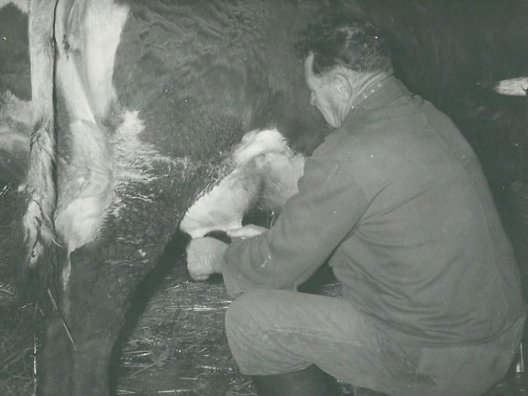 The first milking machine without electricity
