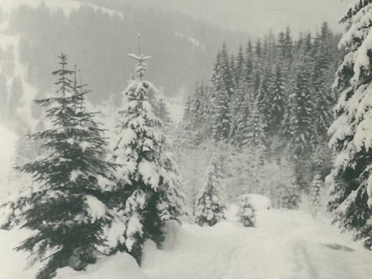 With a lot of snow, the driveways became smaller and smaller