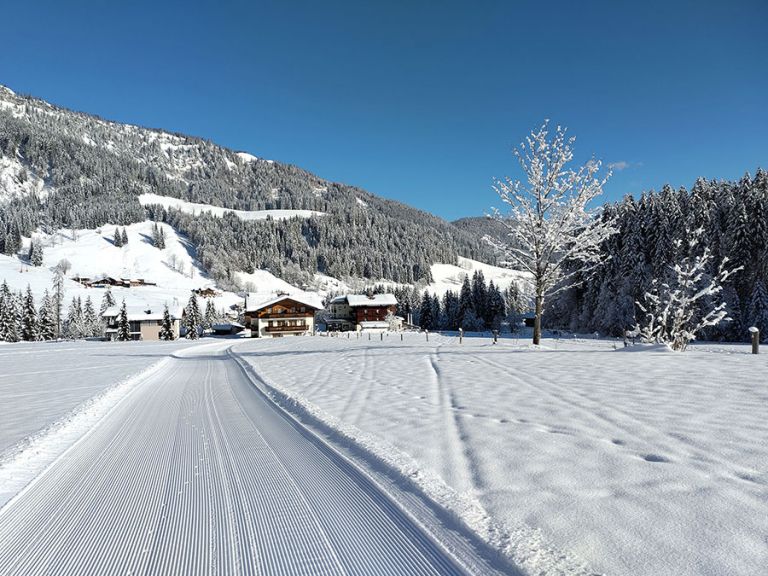Separate Spur zum Wandern neben der Loipe