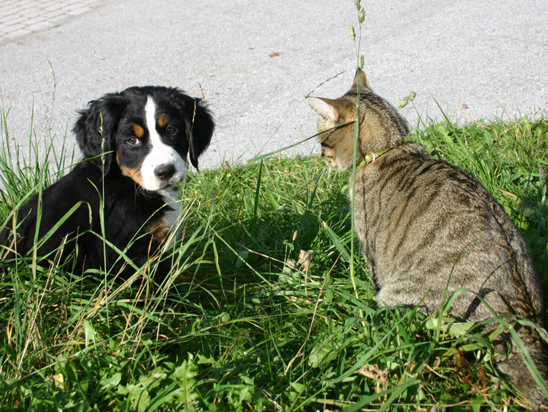 Aurelia mit Kater Felix