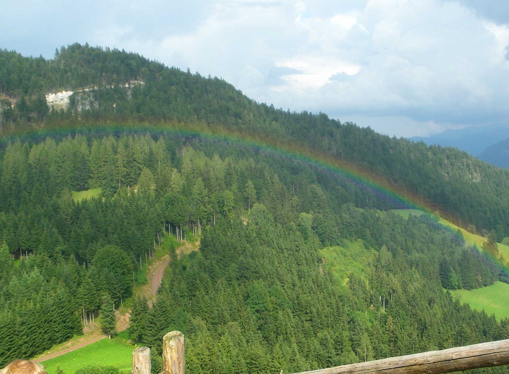 Regenbogen