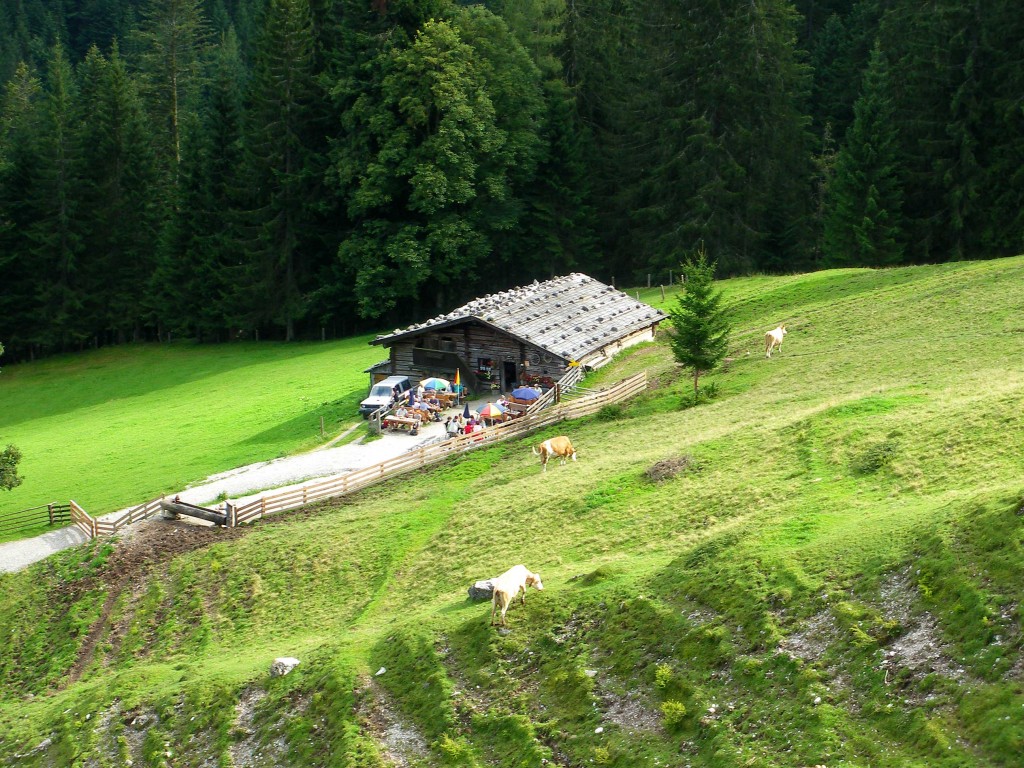 Spießalm im Lammertal