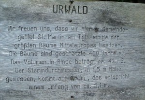 Urwaldschild