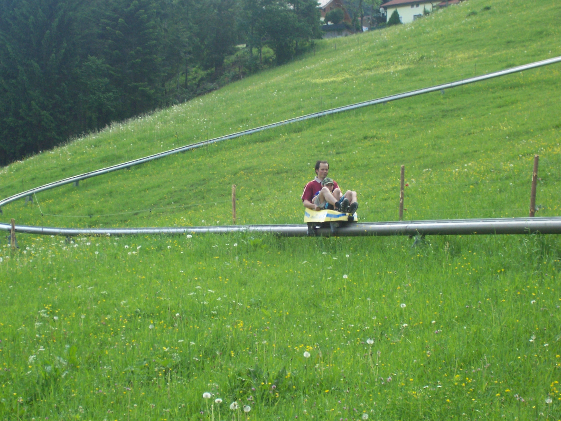 Sommerrodeln in Abtenau