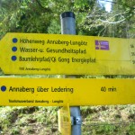 Baumlehrpfad zwischen Annaberg und Lungötz