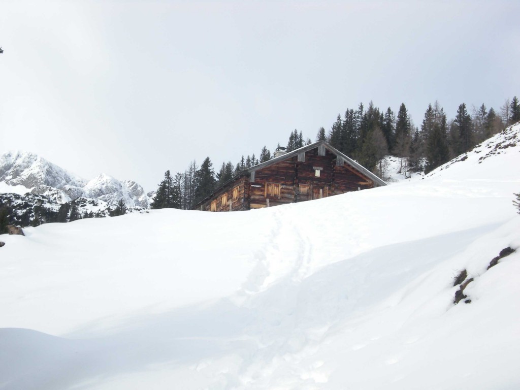 Gappenalm5