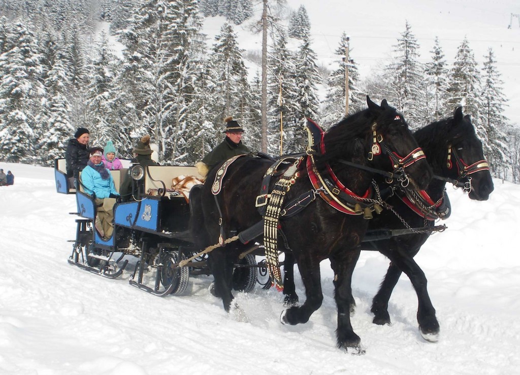 Winterausfahrt-Lämmerhofs-P