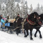 Winterausfahrt-Lämmerhofs-P