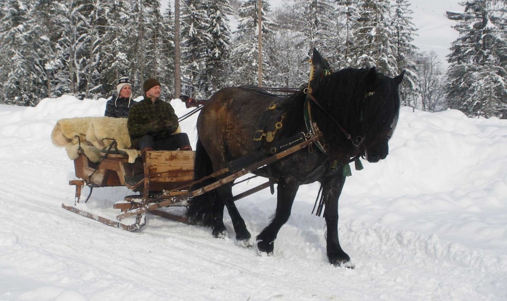 Winterausfahrt_17