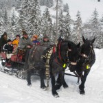 Winterausfahrt_9