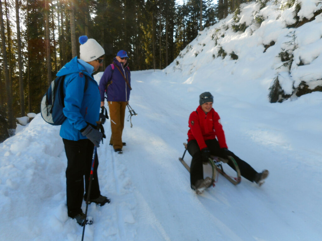 rodelpartie-sittleralm-st-martin-jan-10