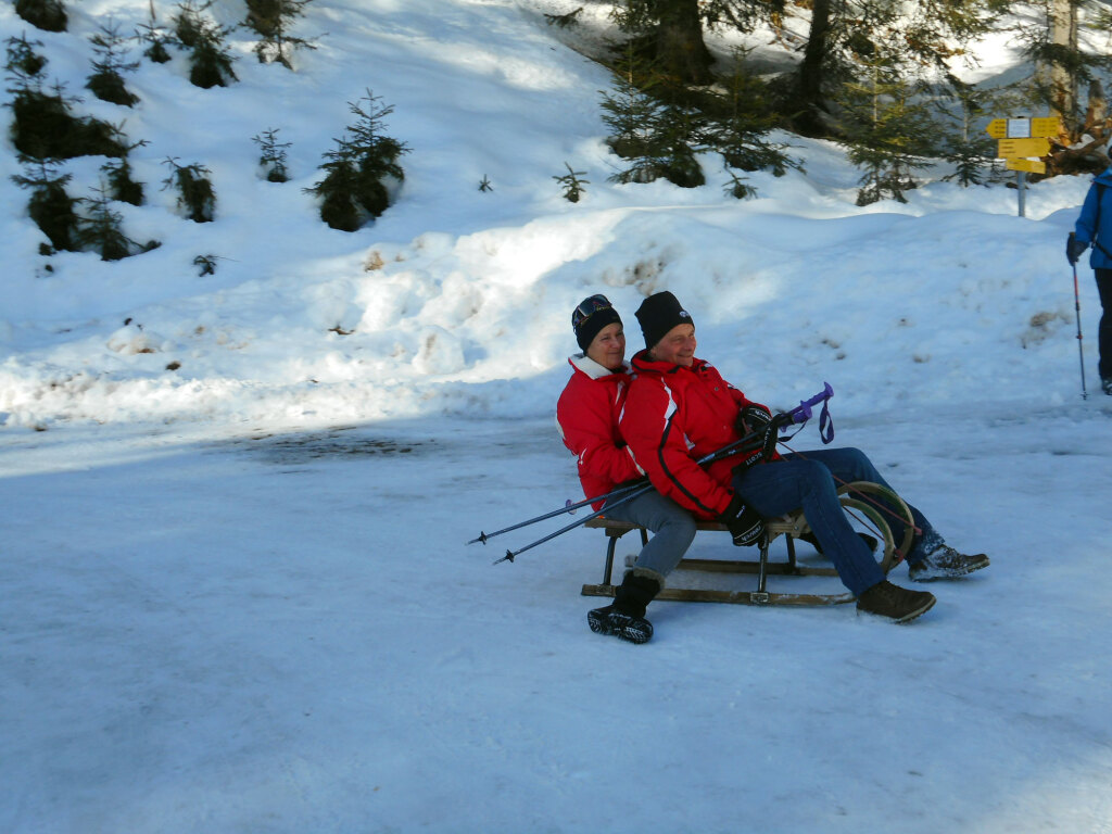 rodelpartie-sittleralm-st-martin-jan-12