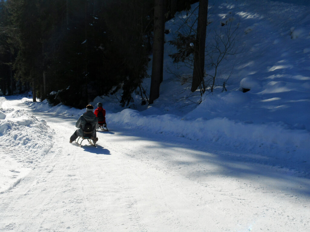 rodelpartie-sittleralm-st-martin-jan-13