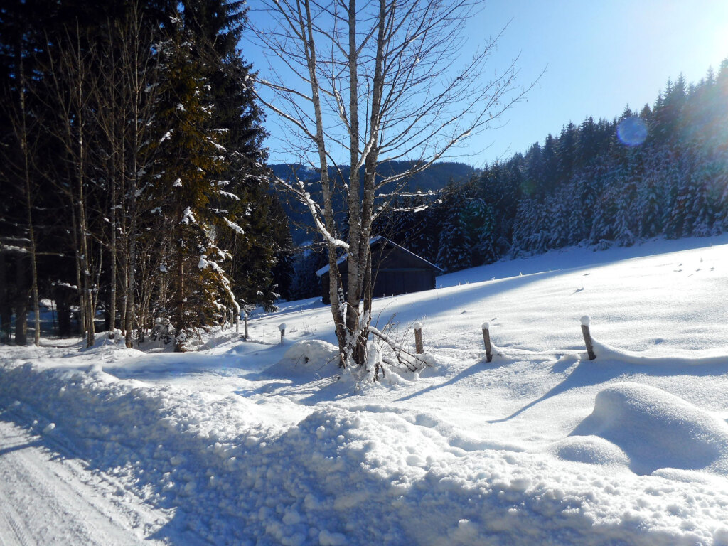 rodelpartie-sittleralm-st-martin-jan-4