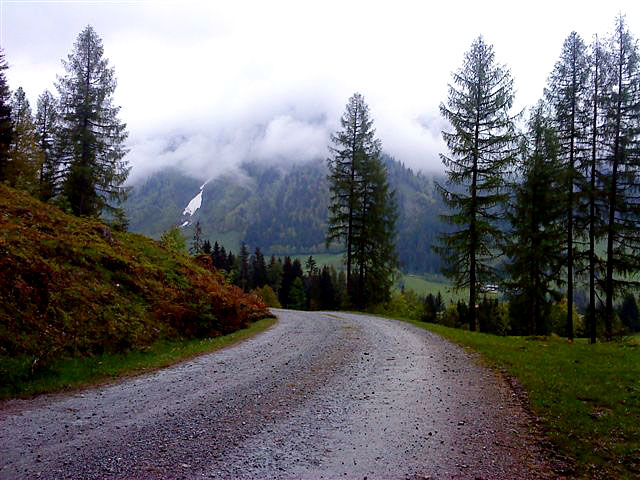 egal ob Wiesenweg, Forststraße, Asphaltstraße ...