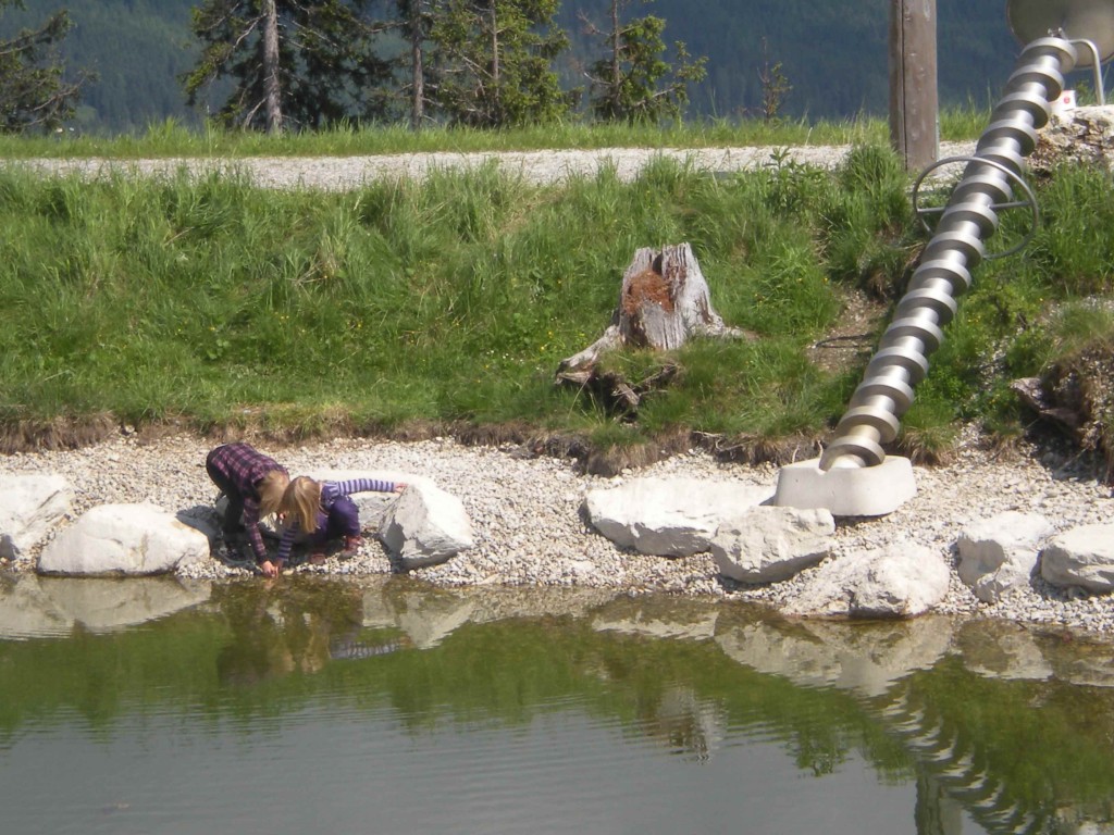 DSCN1753_web