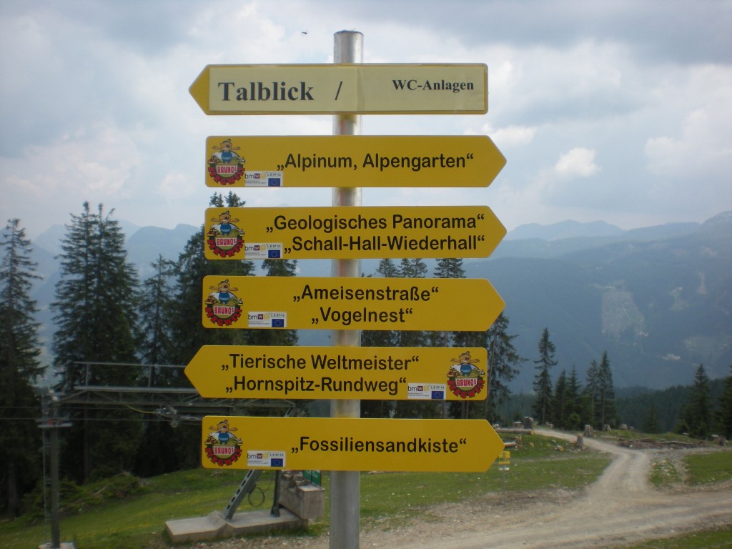 DSCN1768_web