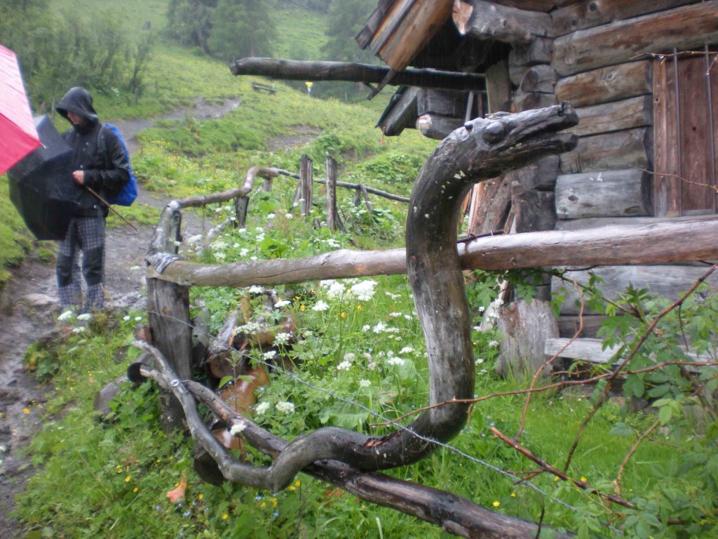 DSCN1839_web