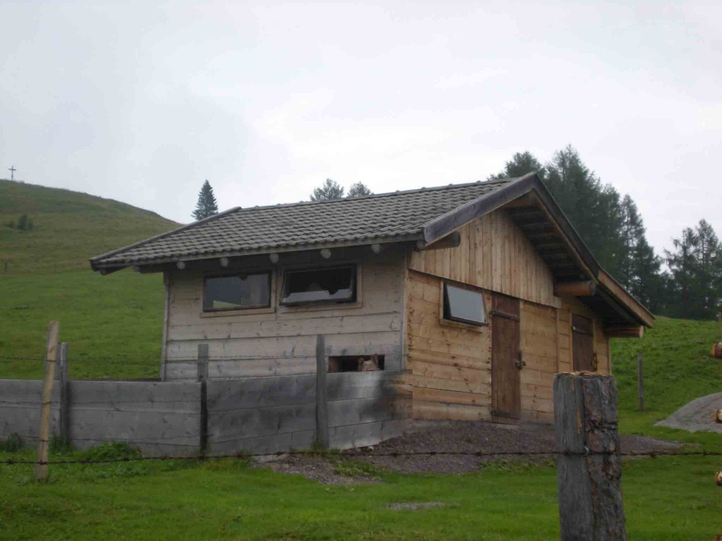 DSCN2004_web