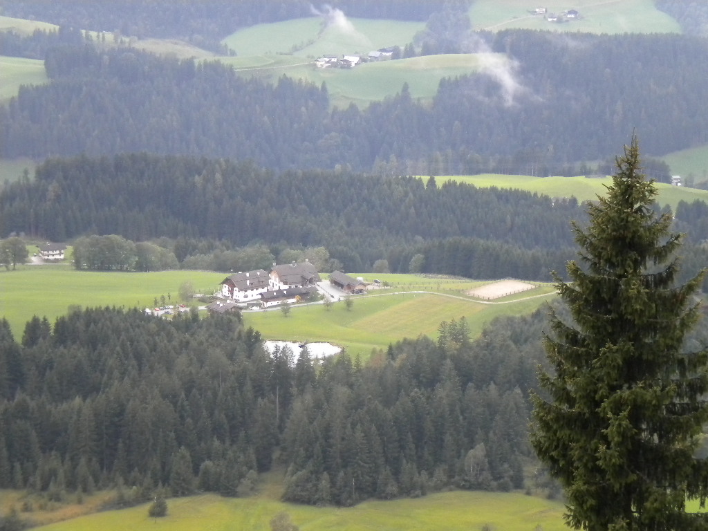 DSCN7185