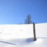 Blitzblauer Himmel und Pulverschnee begleiten uns auf der Schneeschuhwanderung