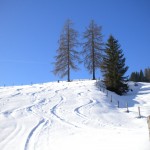 Skispuren im Tiefschnee