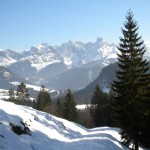 Winterliche Natur mit dem Tennengebirge
