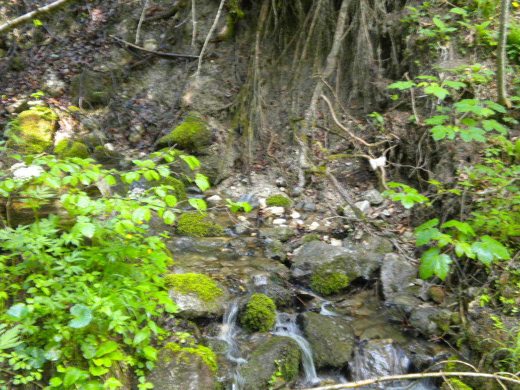 Kleine Naturschönheiten die das Herz erfreuen finden sich auf dem Weg