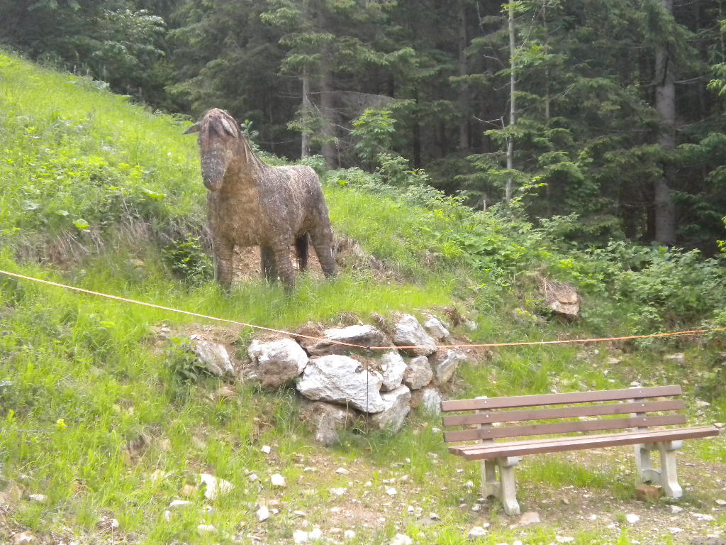 HeuART-Pony im Salzburger Land