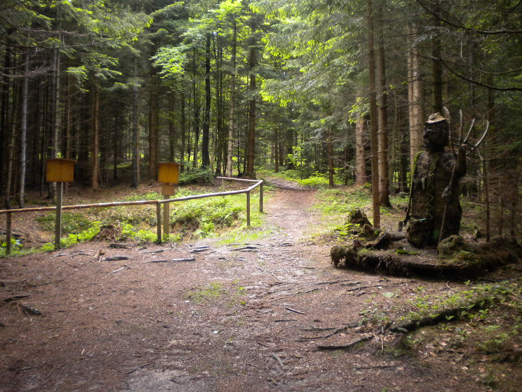 Wandern im Salzburger Land - Wanderweg