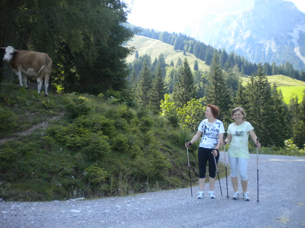 Nordic Walking in der Natur - auch Kühe trifft man am Wegesrand