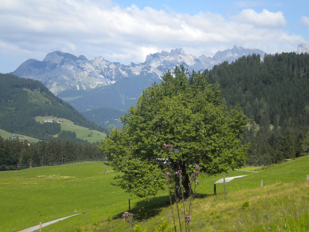 Naturkulisse die zum Wandern und Nordic Walken einlädt