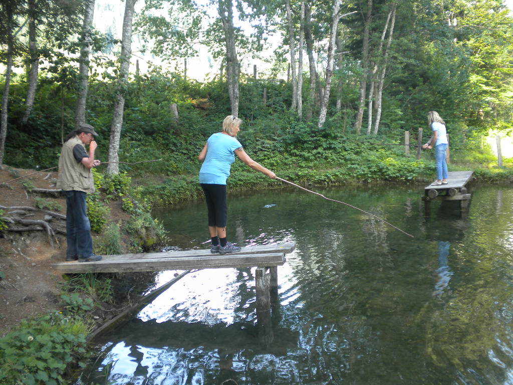 Schöner Abendausklang am Teich