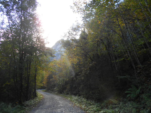 Herbstwanderung in Abtenau