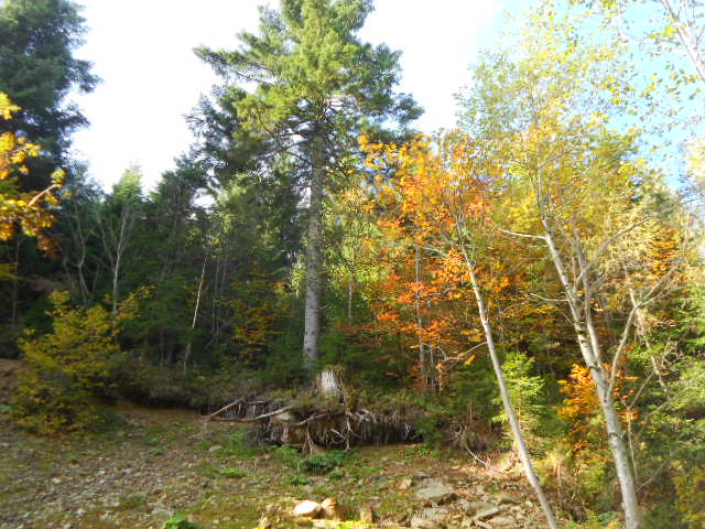 Herbstsonne genießen im Salzburger Land