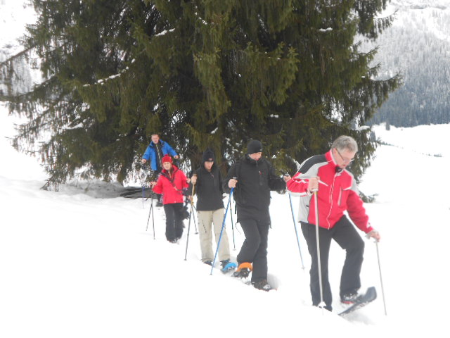 Aller Anfang ist schwer - Schneeschuhwanderungen im Lammertal