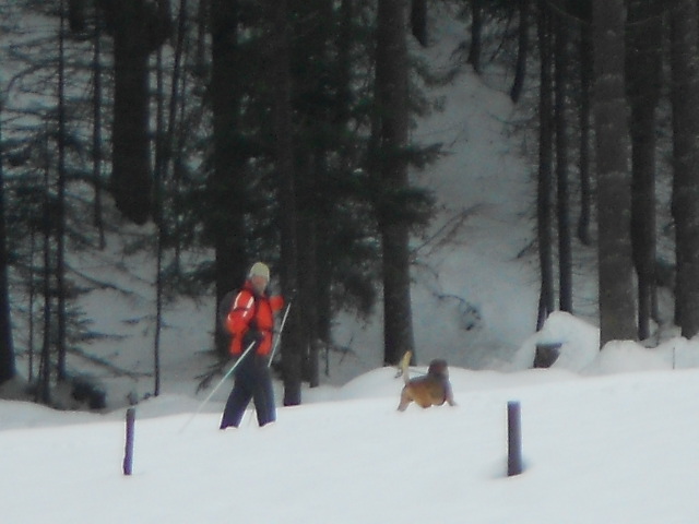 Schneeschuhwandern im Salzburger Land