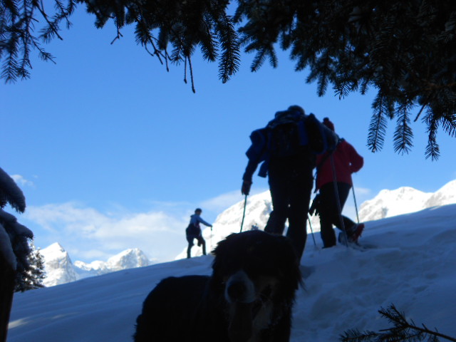 Winterurlaub im Lammertal