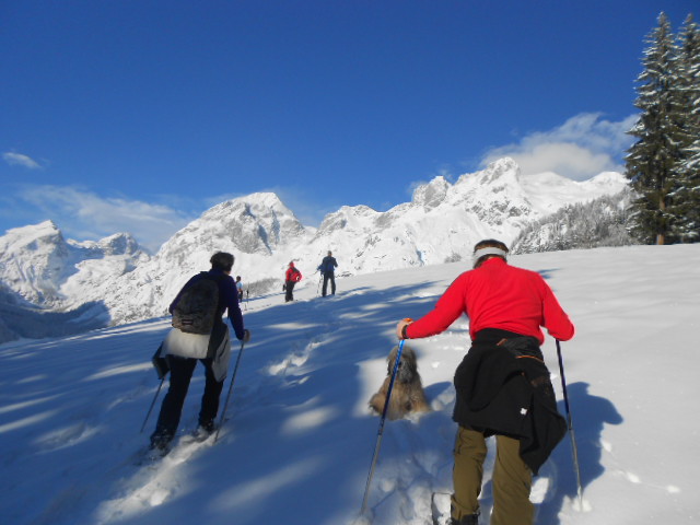 Schnee und Winterlandschaften im Lammertal