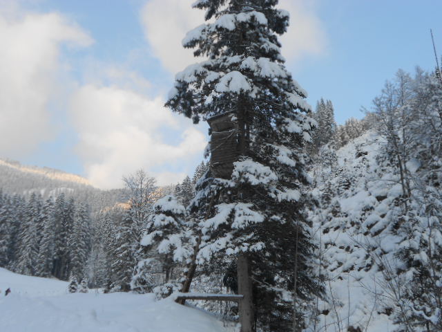 Winterurlaub im Lammertal