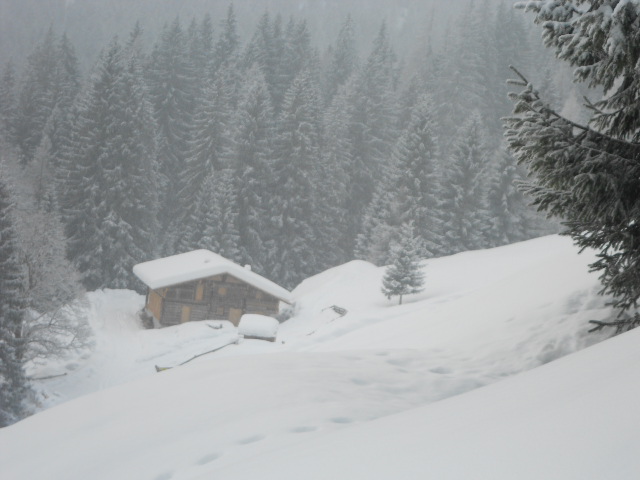 Spießalm im Lammertal